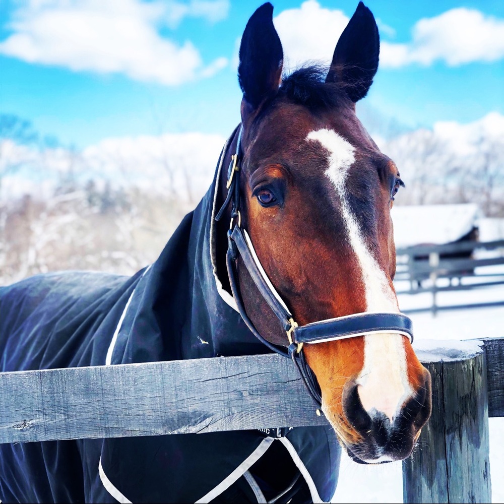 Meet your Posher, Jennifer